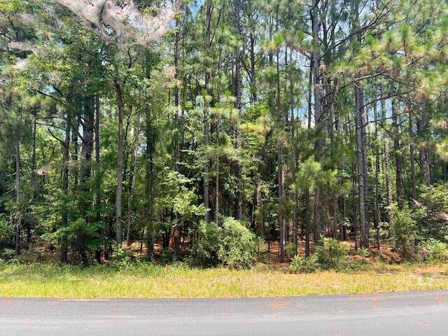 Property Photo:  Lot 3 Fairway Lane  SC 29812 