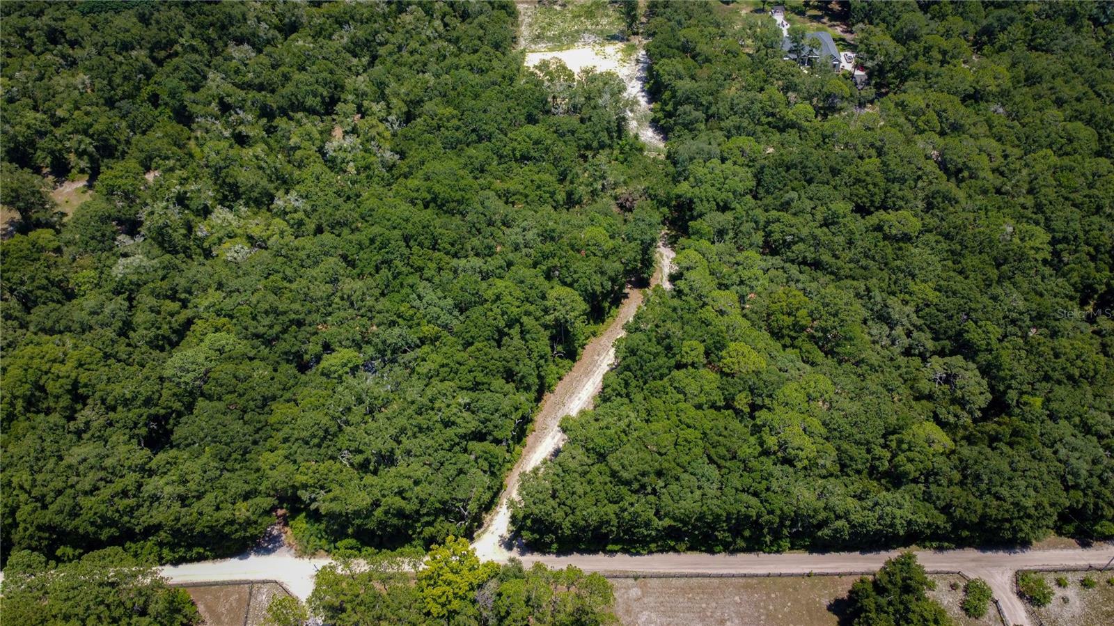 Property Photo: 1717 SW 143rd Street FL 32669