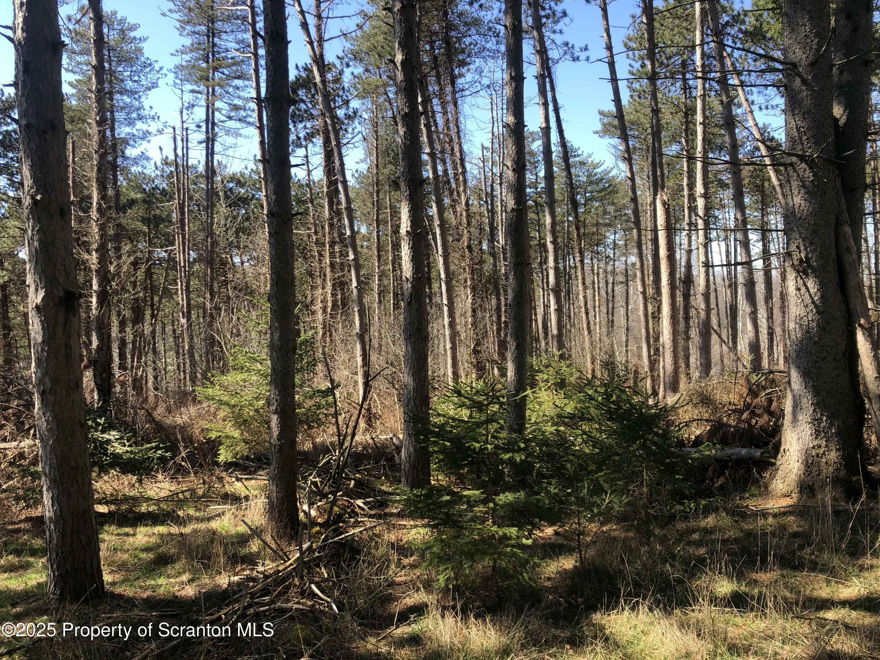 634 Lily Lake Road, Lot 3  Waverly PA 18471 photo