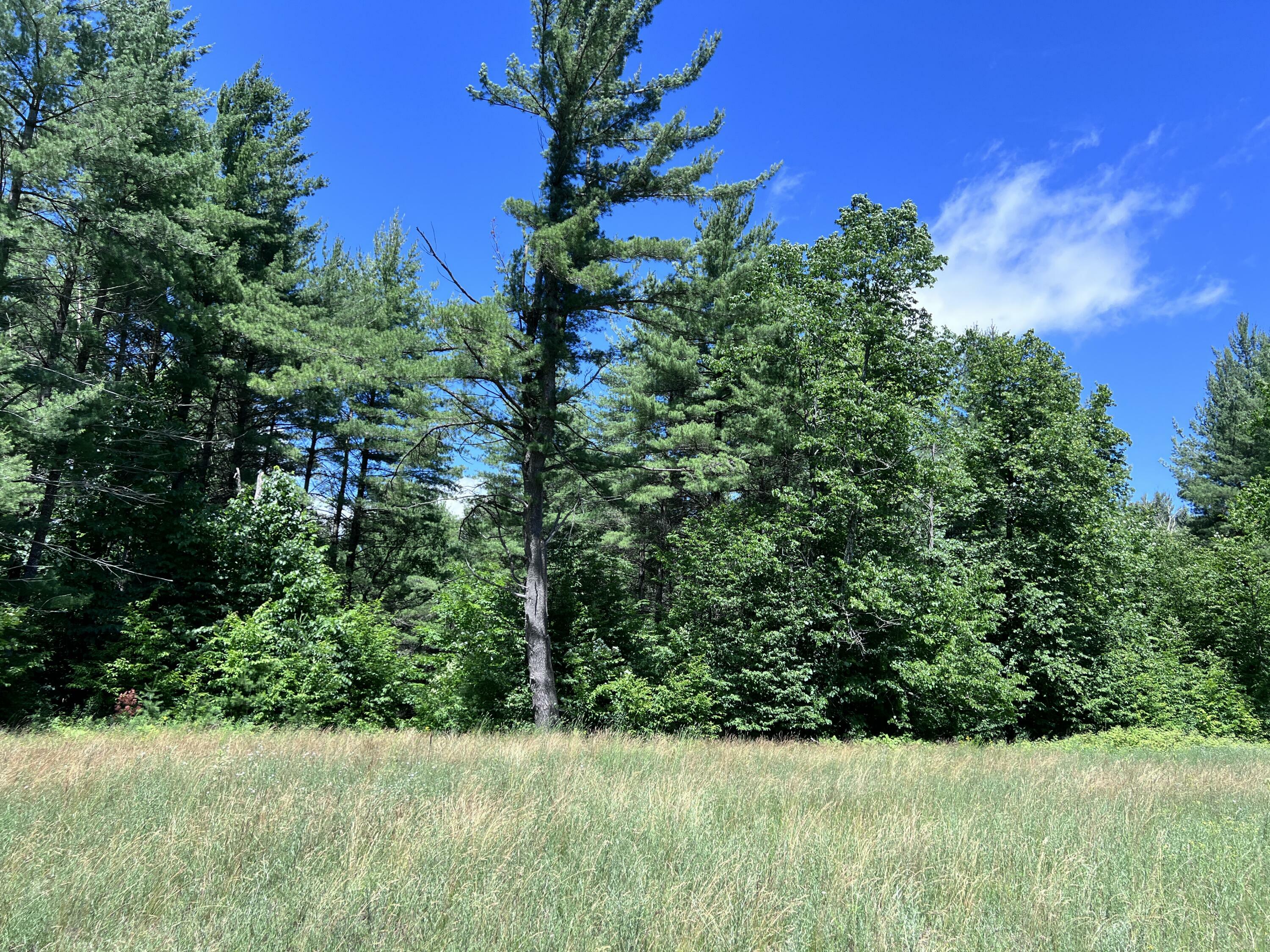 Property Photo:  Tittabawassee Trail 5.67 Acres  MI 49735 