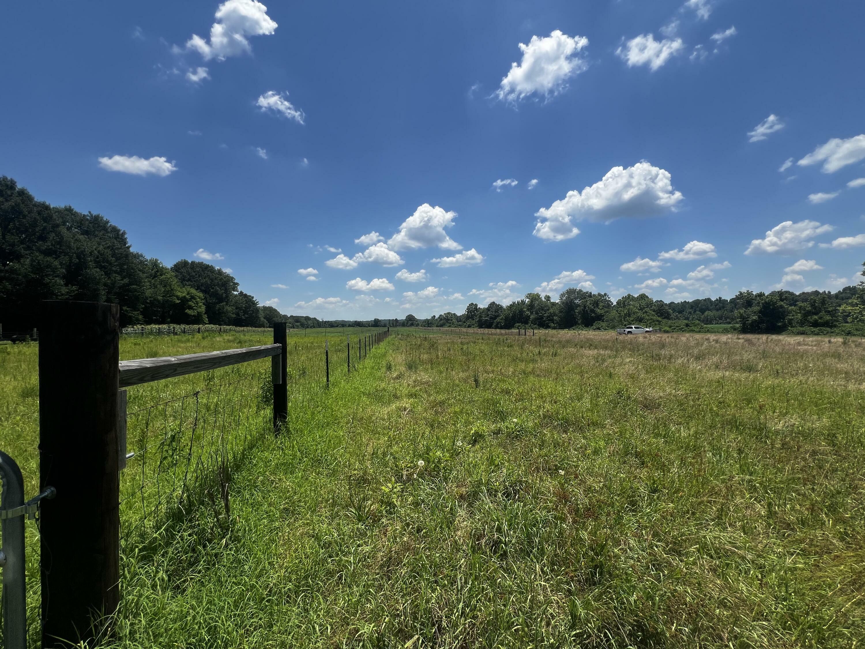 Property Photo:  Old Natchez Trace Rd  MS 38863 