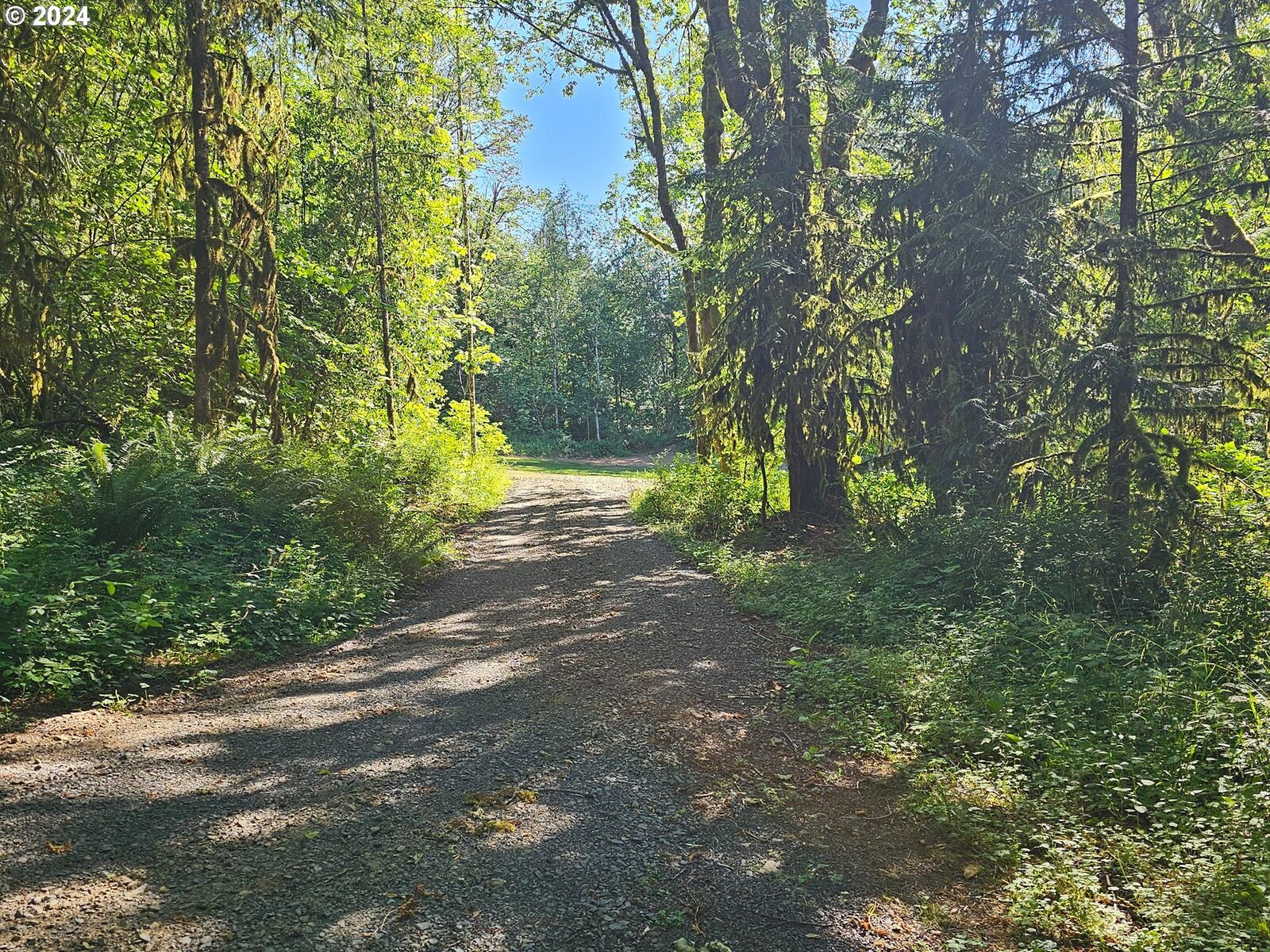 Property Photo: Rose Valley Rd 1 WA 98626