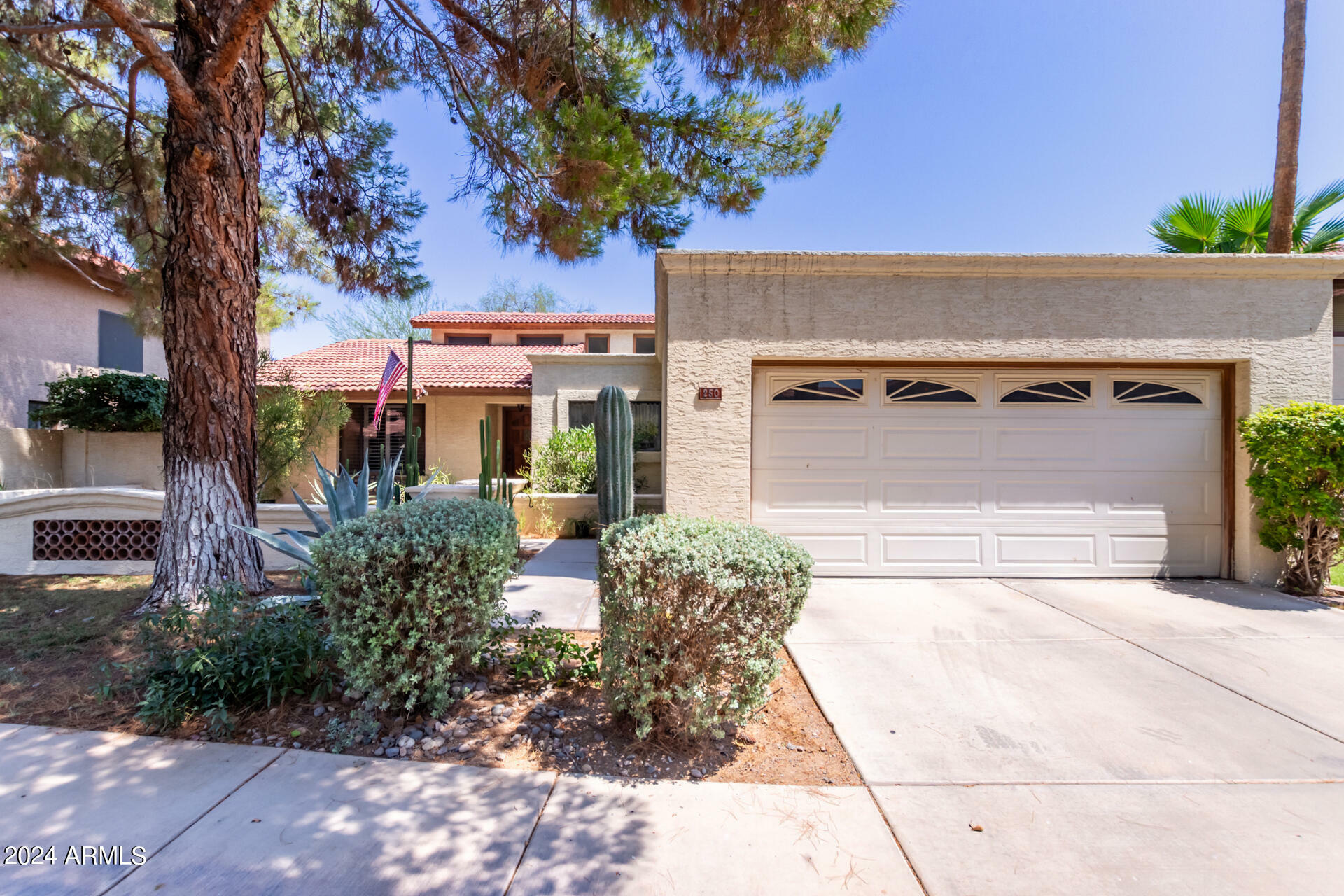 Property Photo:  250 E Barbarita Avenue  AZ 85234 