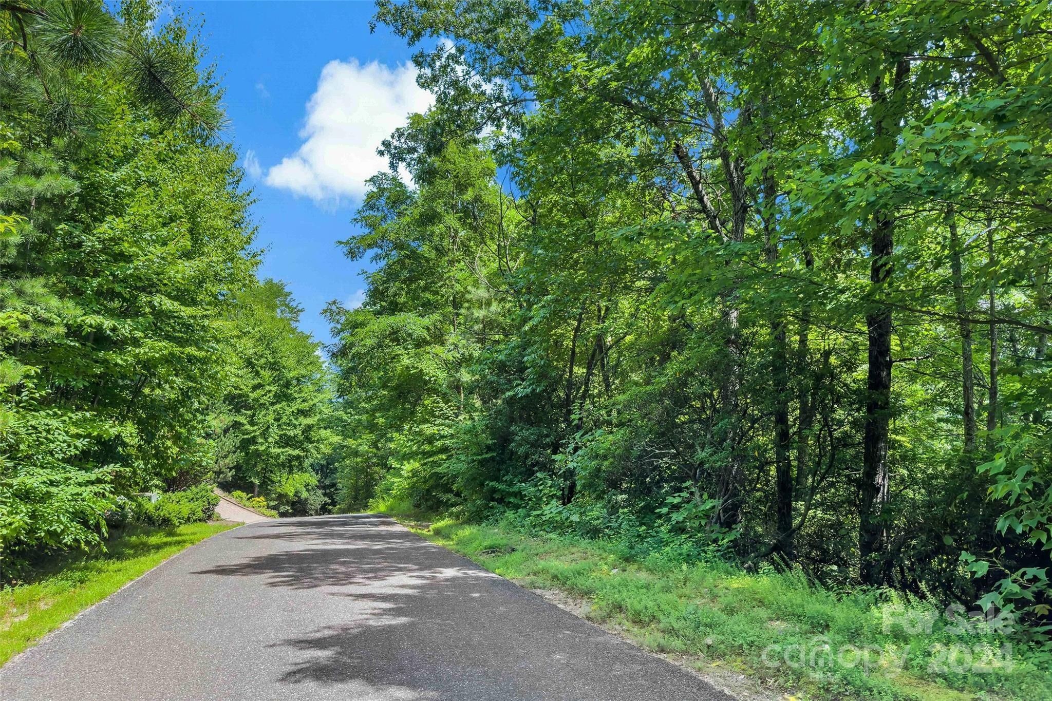 144 Galax Drive T-42  Black Mountain NC 28711 photo