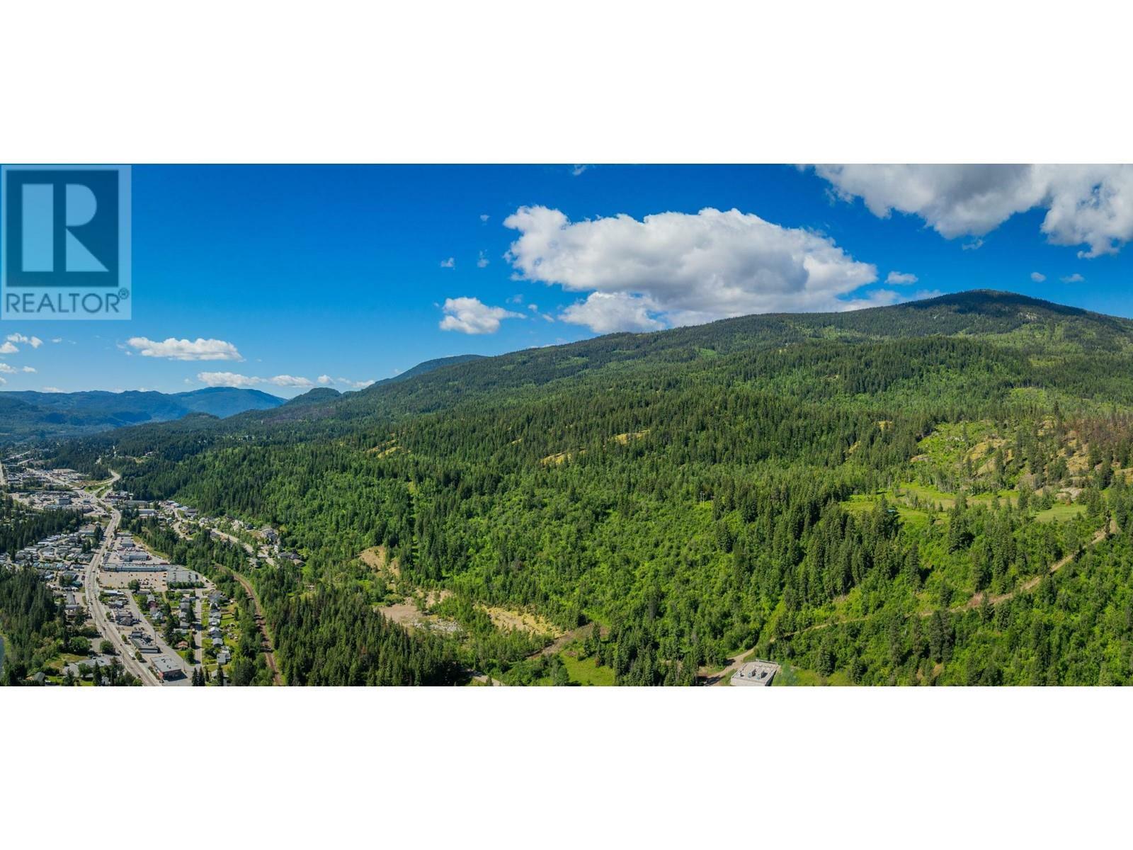 1402 Woodland Drive  Castlegar BC V1N 4J4 photo