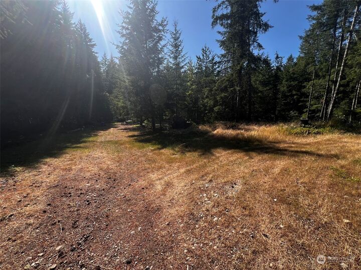 Property Photo:  1705 Lewis Road W  WA 98380 