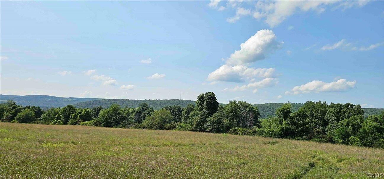 Property Photo:  00 Benjamin Hill Road  NY 14867 