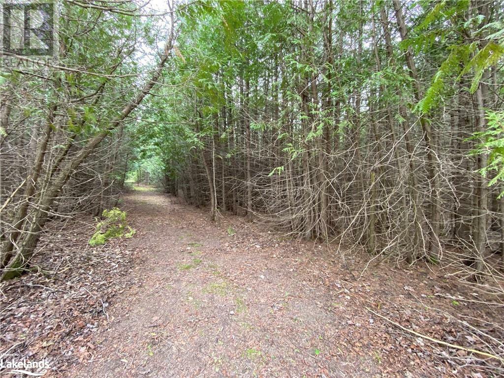 Property Photo:  9 Osprey The Blue Mountains  ON N0H 2E0 