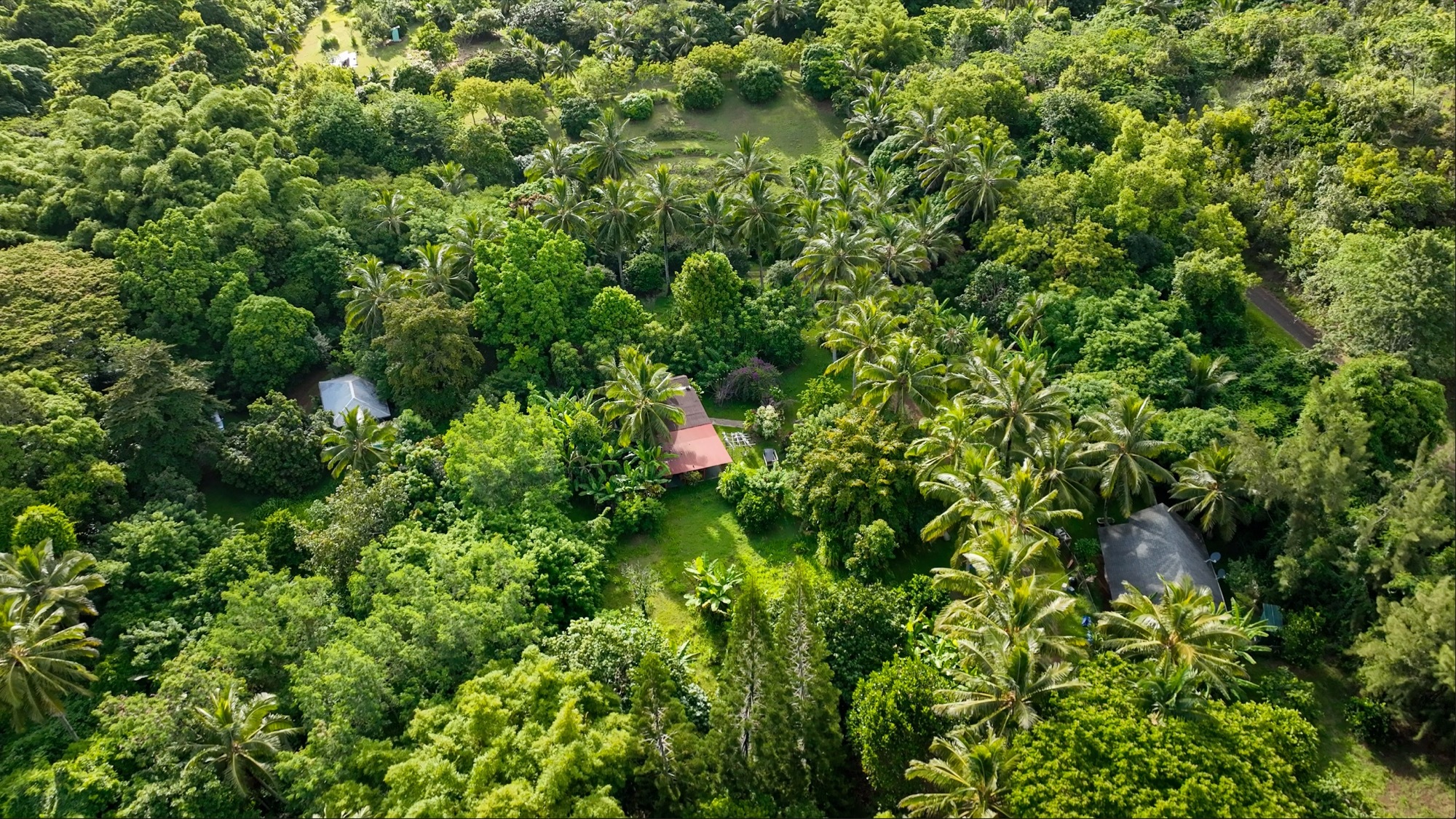 Property Photo:  6565-C Koolau Rd  HI 96746 