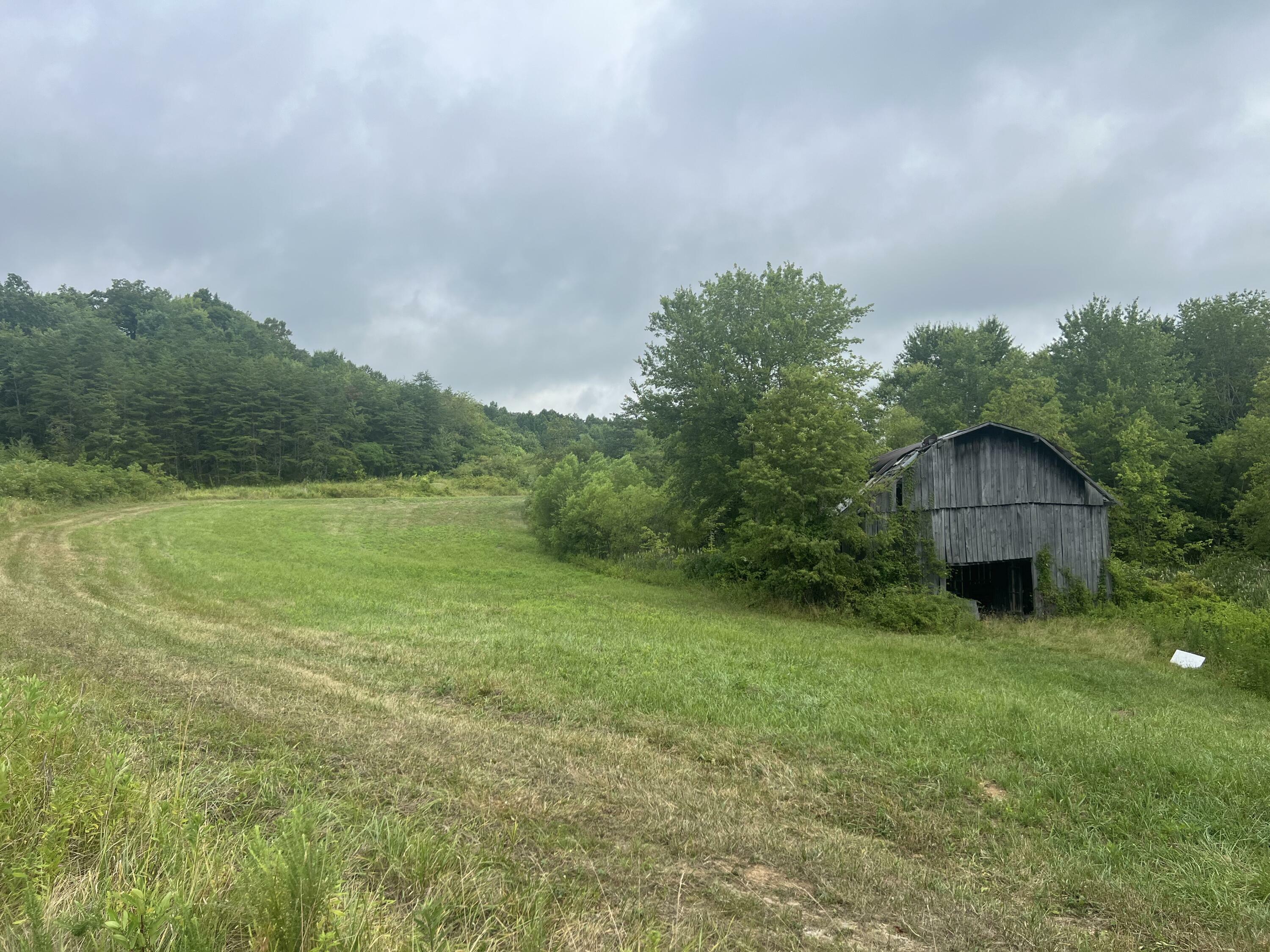 Property Photo:  9999 Collier Road  KY 40741 