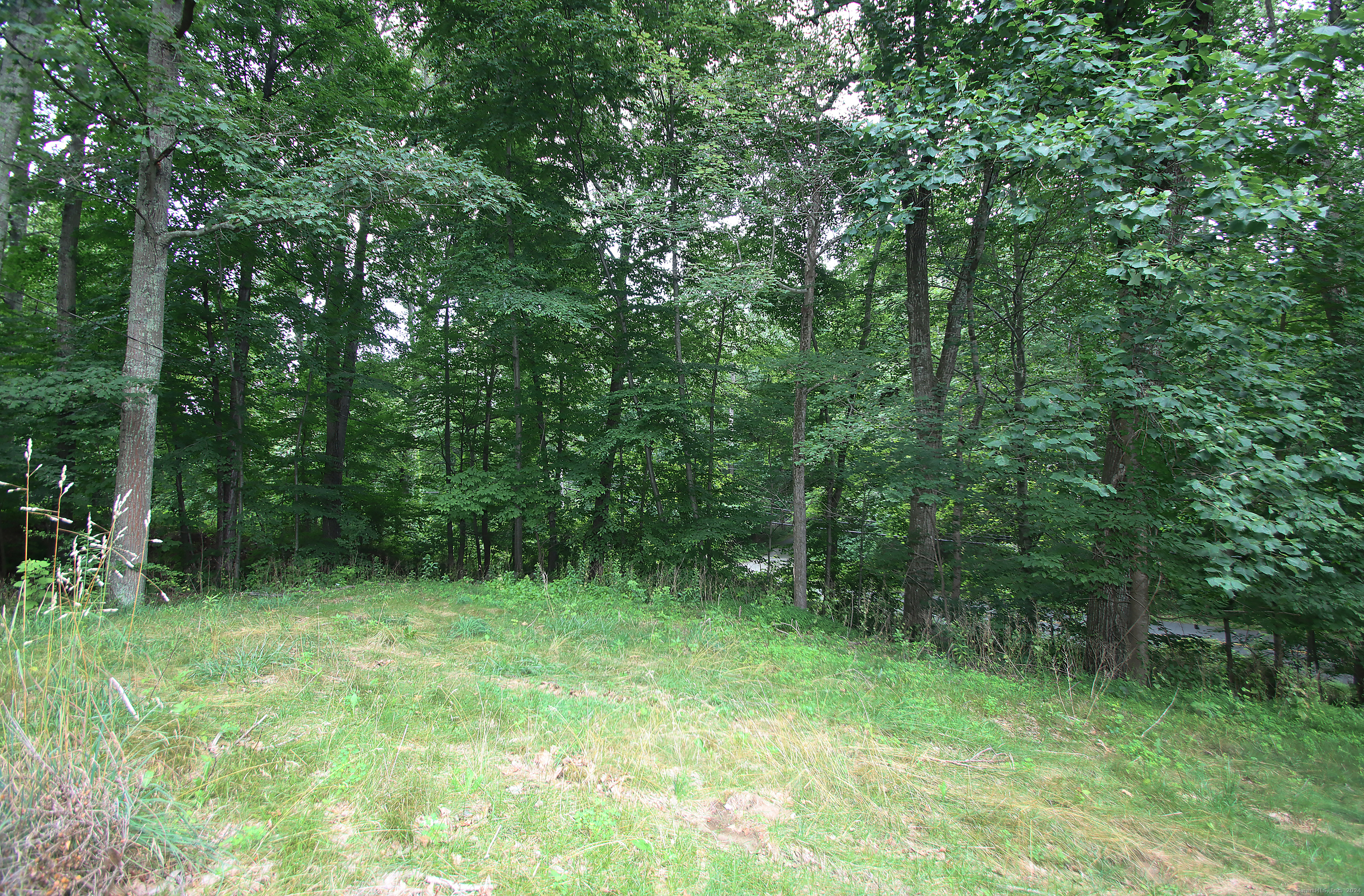 Property Photo:  14 New Lebbon Road  CT 06482 