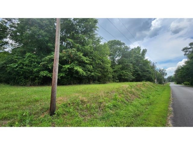 Property Photo:  Lot 1 Beulah Street  SC 29639 