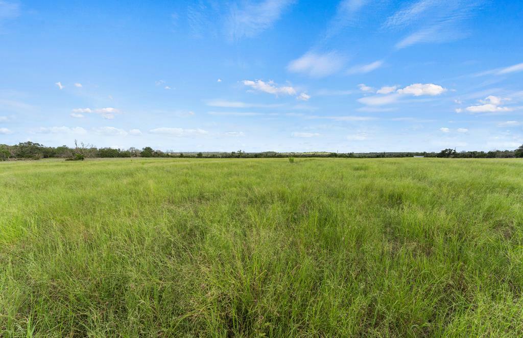 Property Photo:  13406 Ranch Rd 1631  TX 78624 