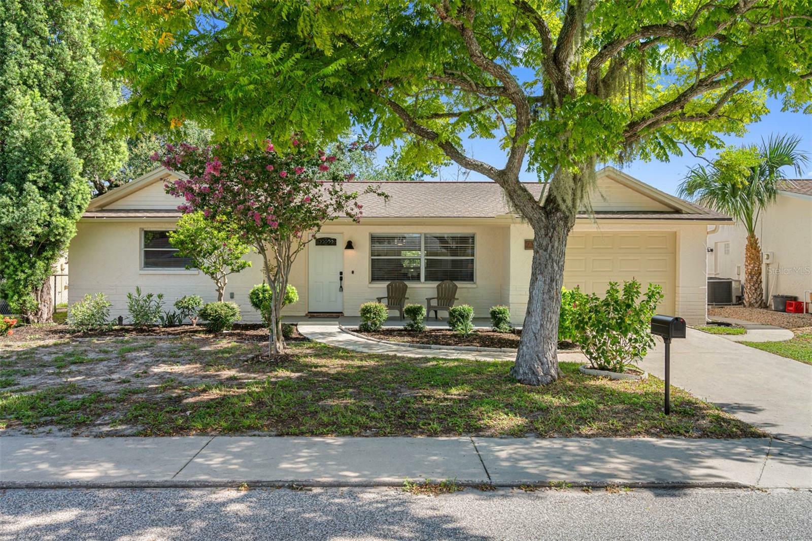 Property Photo:  7137 Fireside Drive  FL 34668 