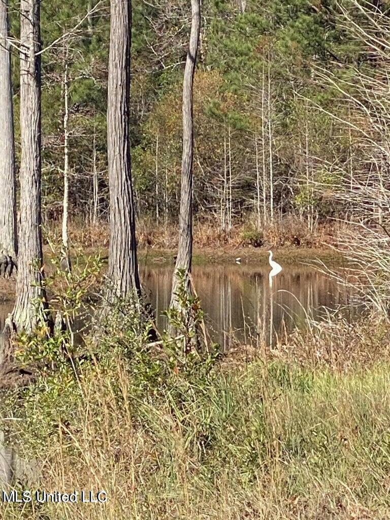 0 Old Hwy 49 Highway  Gulfport MS 39503 photo