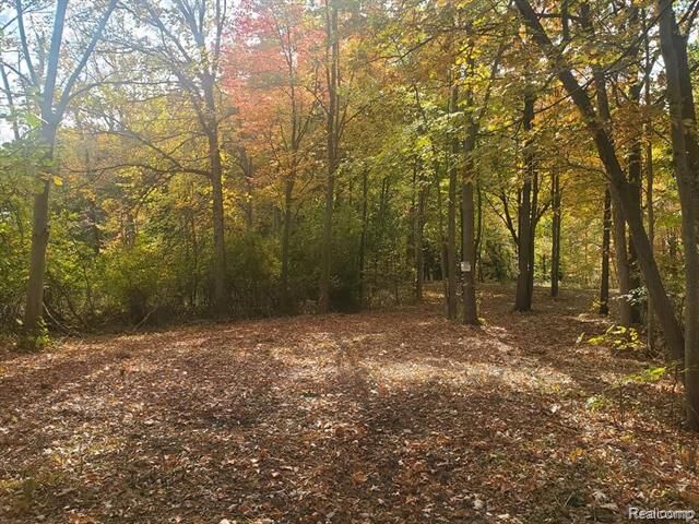 Property Photo:  6002 7 Mile  Road  MI 48167 