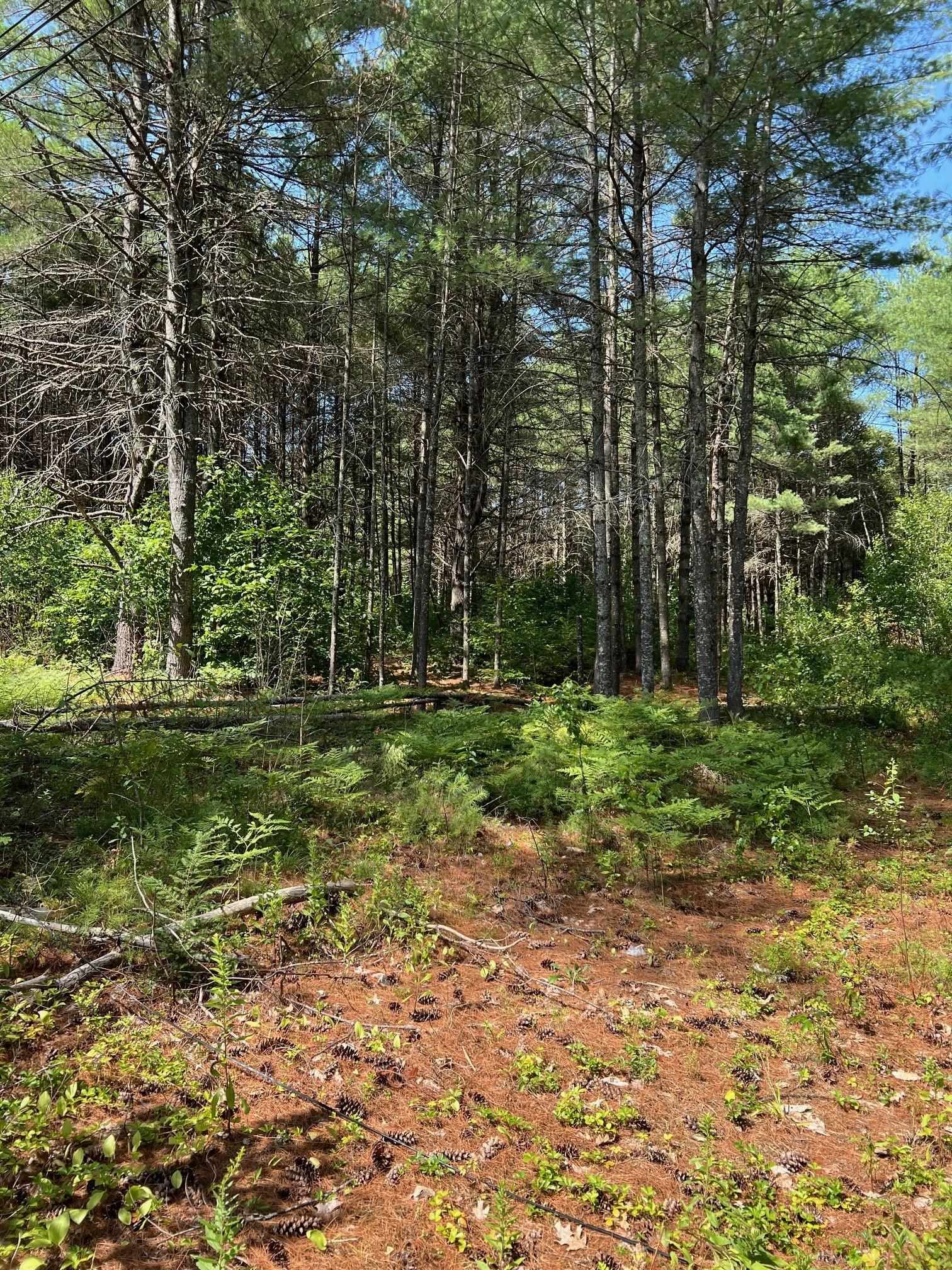 Property Photo:  185 Dorrs Corner Road  NH 03814 