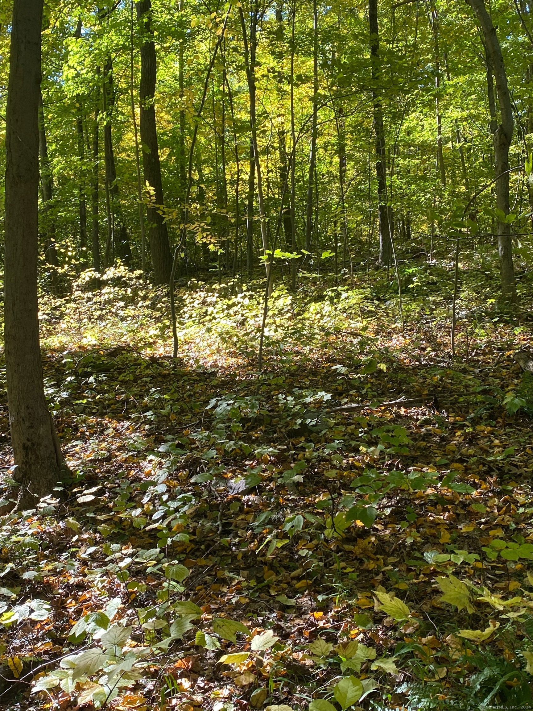 Property Photo:  Lot 5 Bethany Mountain Road  CT 06410 