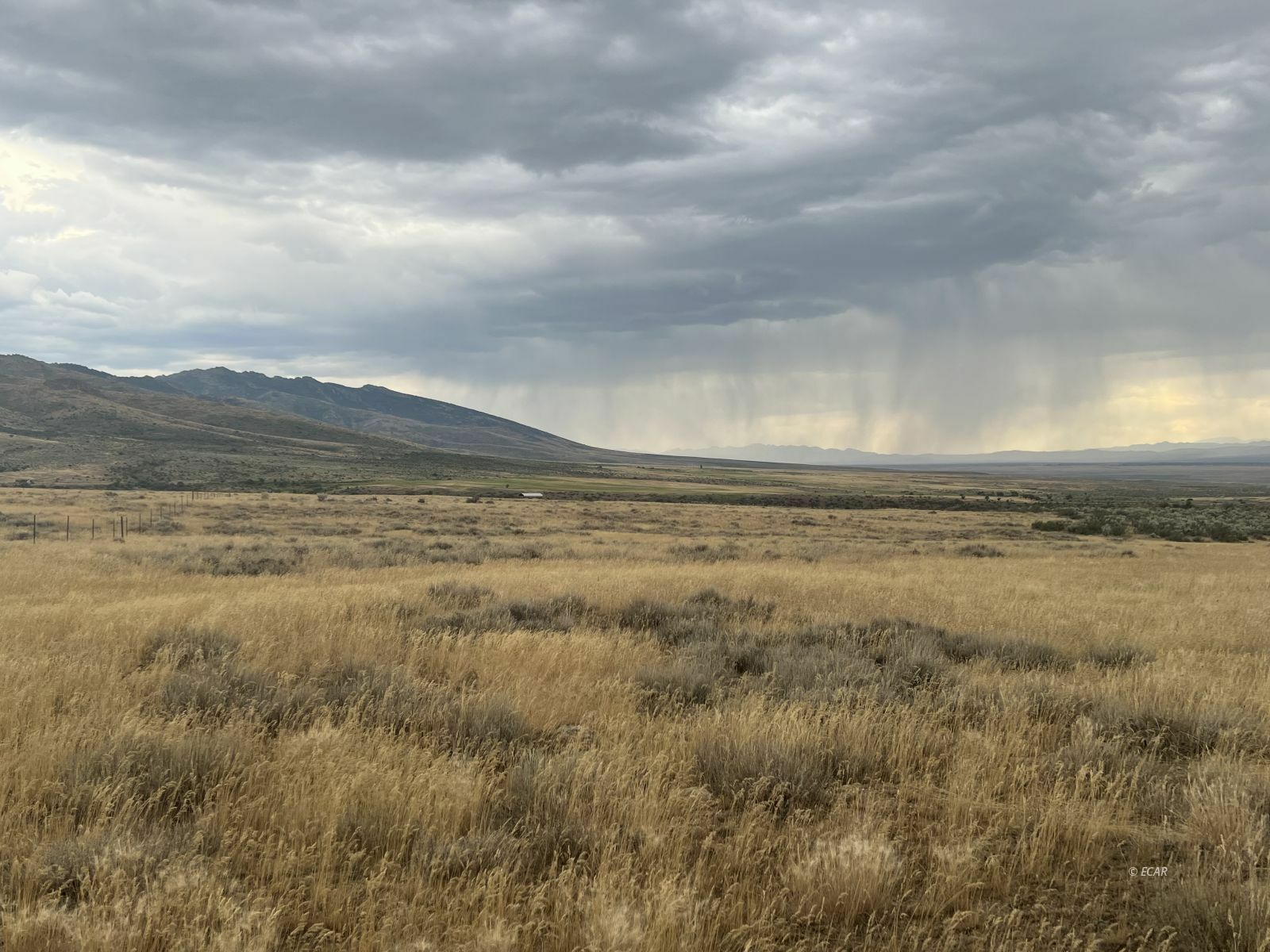 Property Photo:  Smith Creek Ranch  NV 89815 