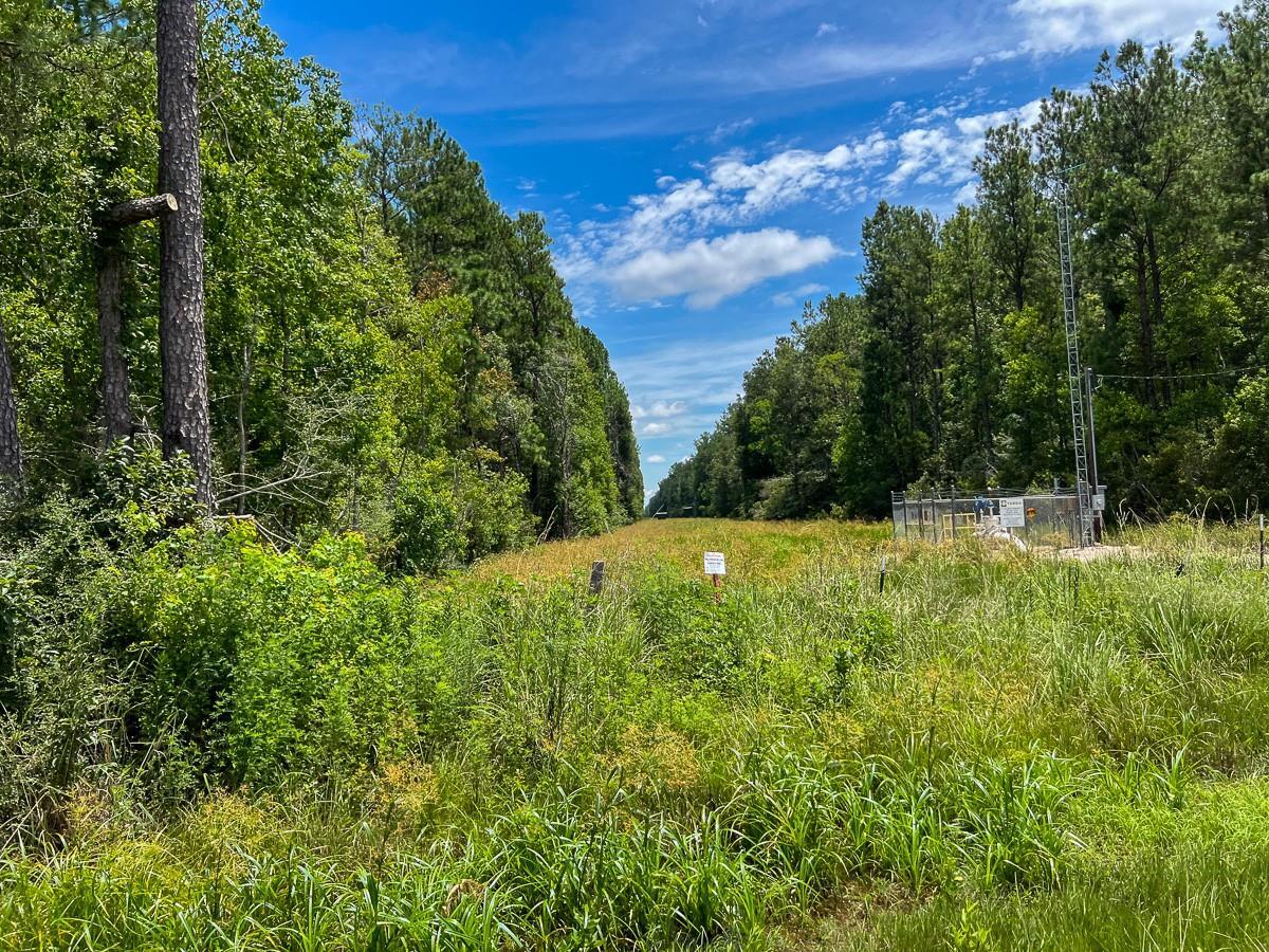 Property Photo:  0 Fm 1136  TX 77632 