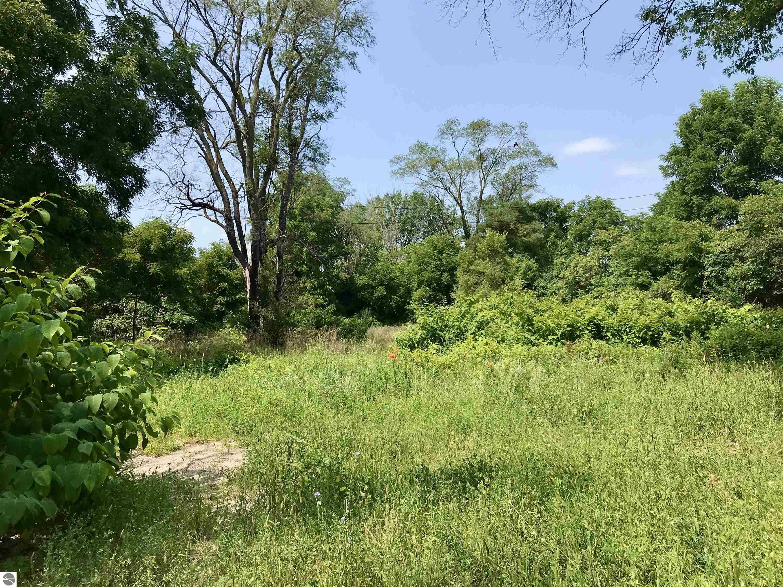 Property Photo:  3382 S Isabella Road  MI 48858 