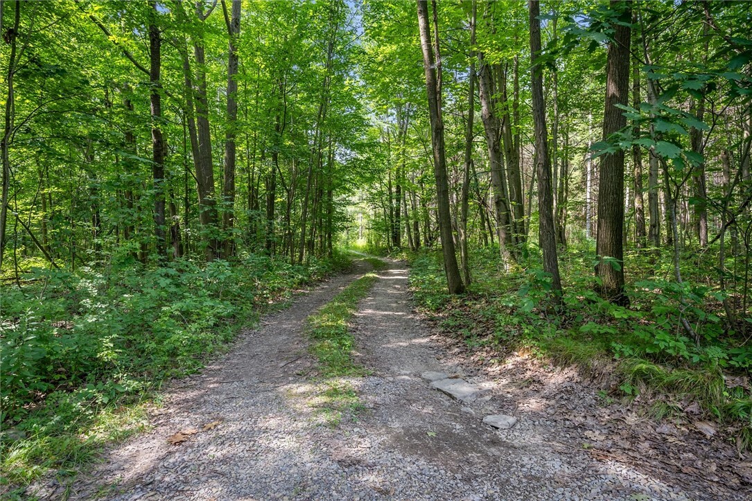 Property Photo:  8202 Forest & Gloades Corners Road  NY 14873 