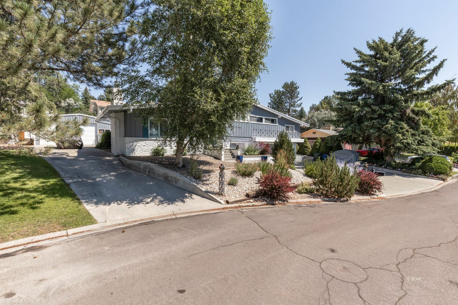 Property Photo: 1213 Hannah Drive NV 89801