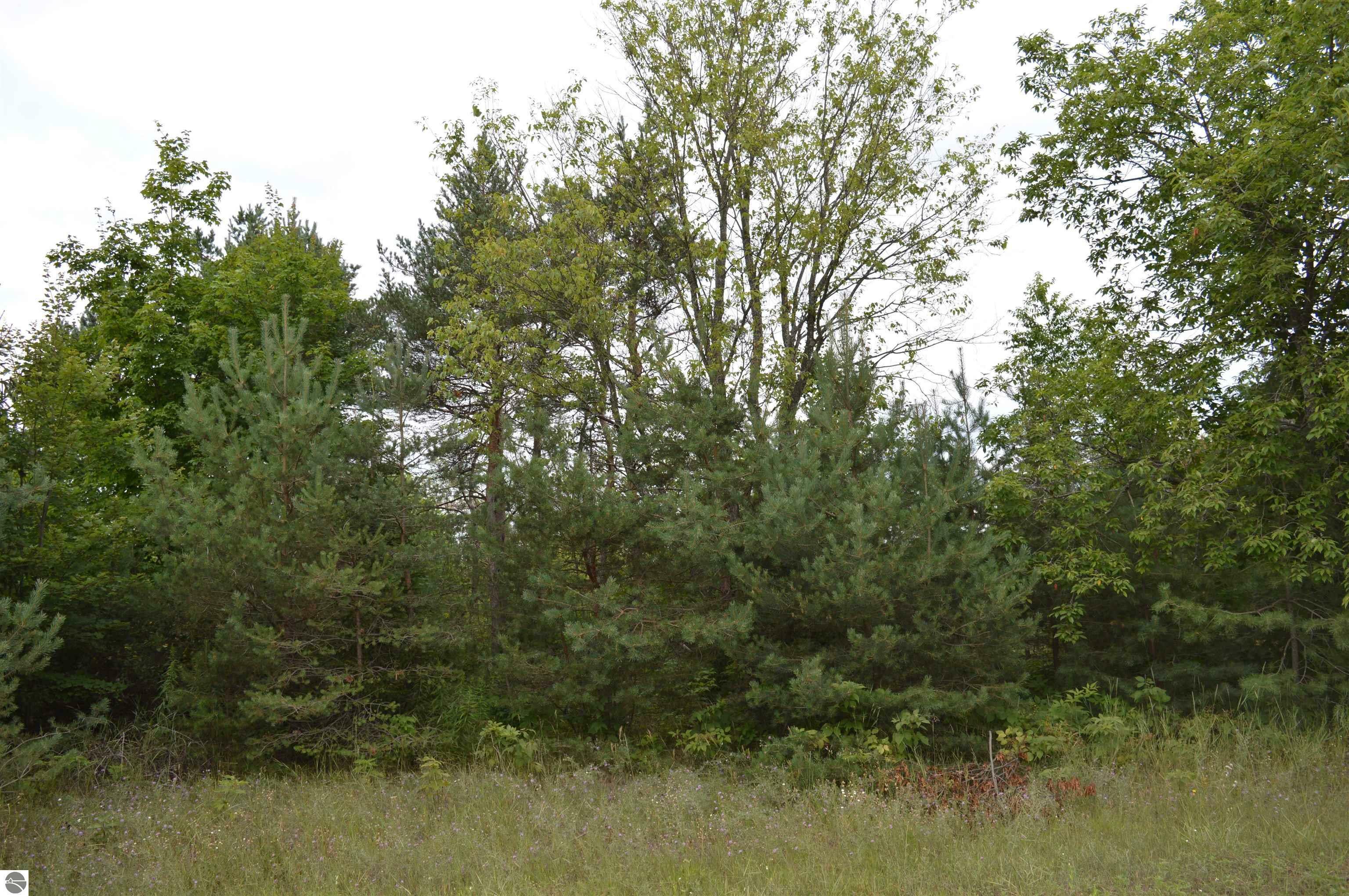 Property Photo:  00 County Line Road  MI 49659 