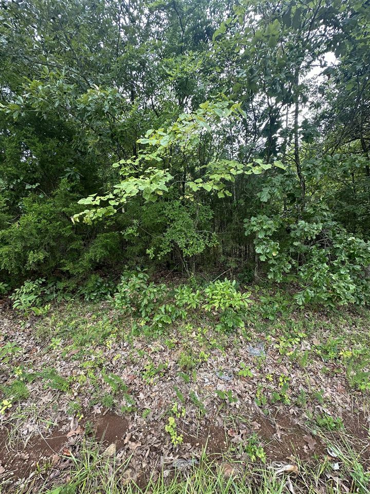 Property Photo:  317 Wimpee Smith Road  KY 42274 