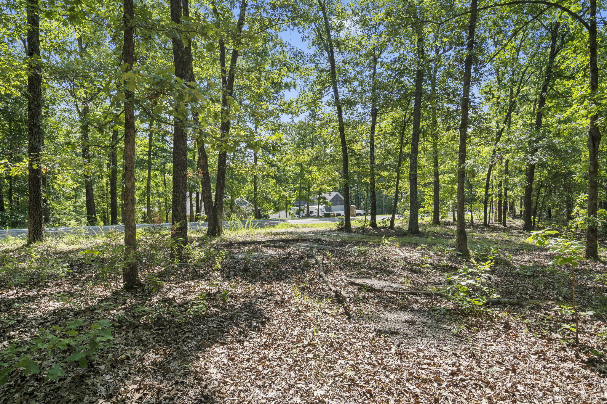 Property Photo:  505 Buckskin Ridge  MO 65669 