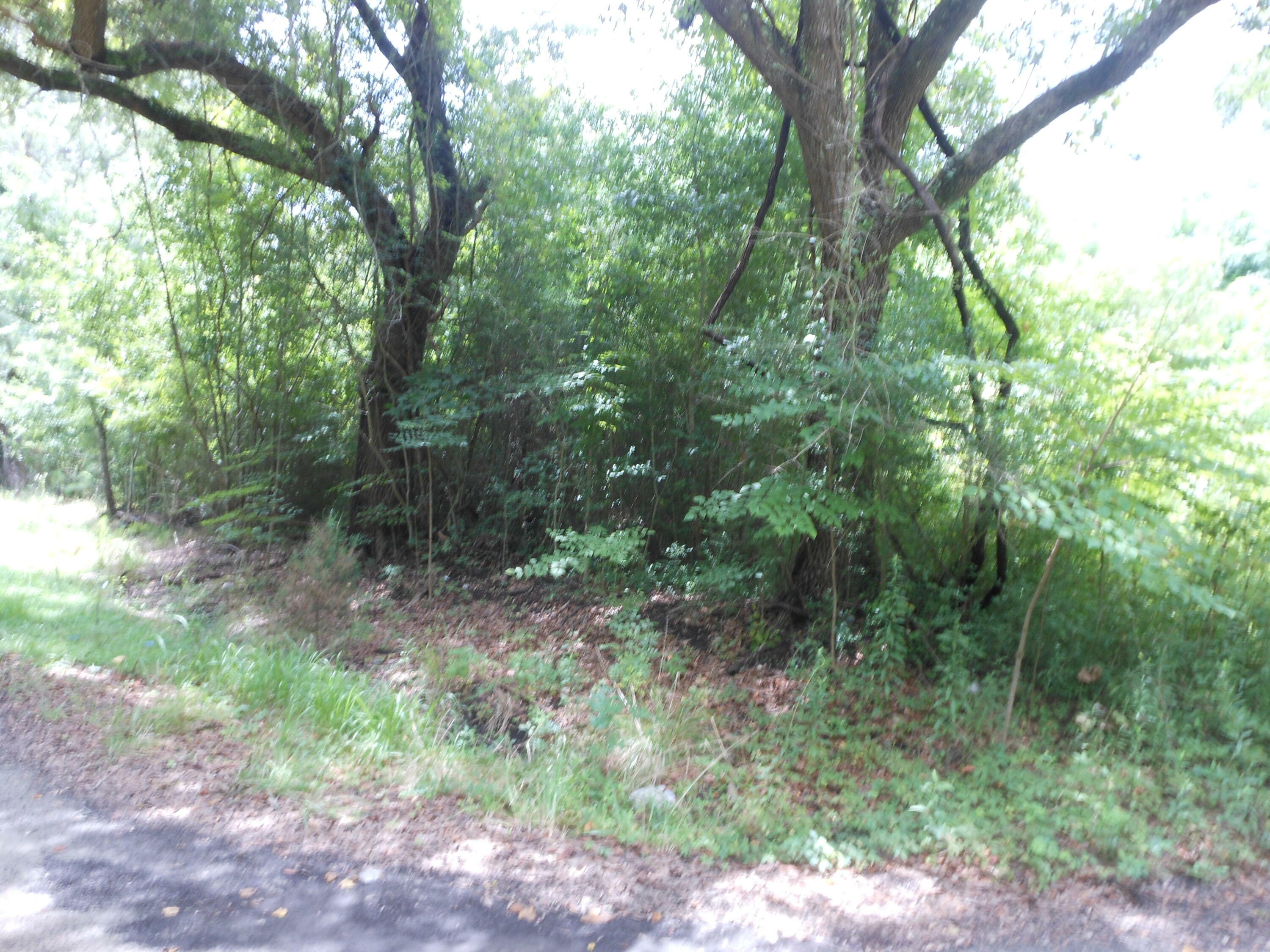 Property Photo:  8046 Cedar Hall Road  SC 29438 