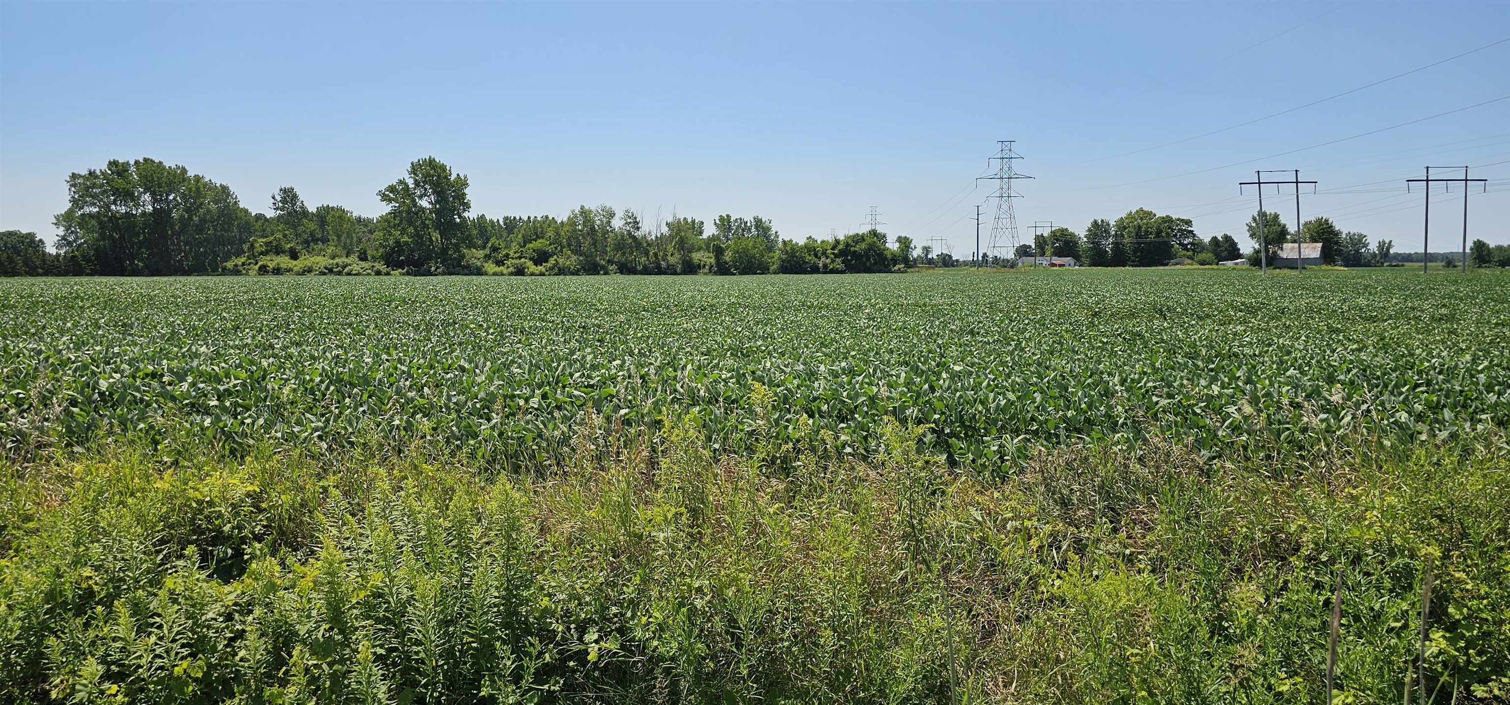 Property Photo:  0 W German Rd. Roads  MI 48708 