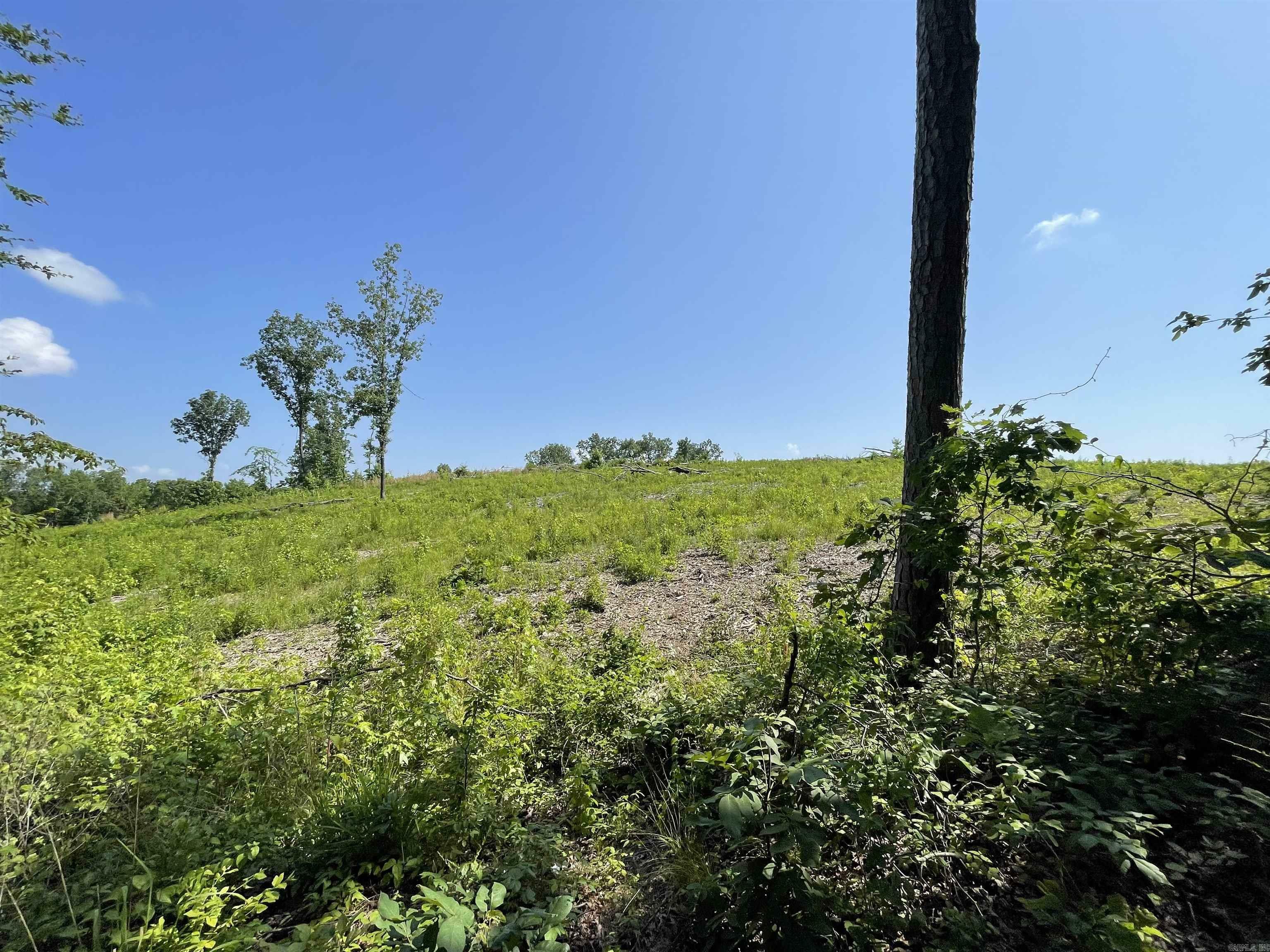 Property Photo:  Lot 5 Highway 5  AR 72019 