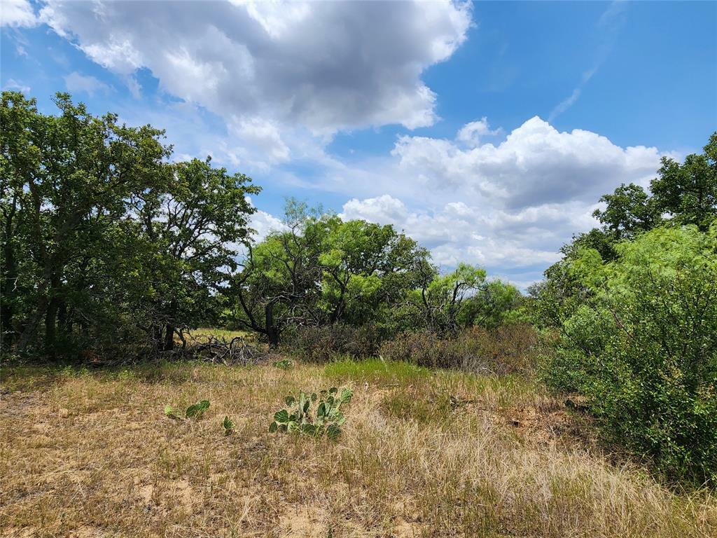 Tbd County Road 121  Cisco TX 76437 photo