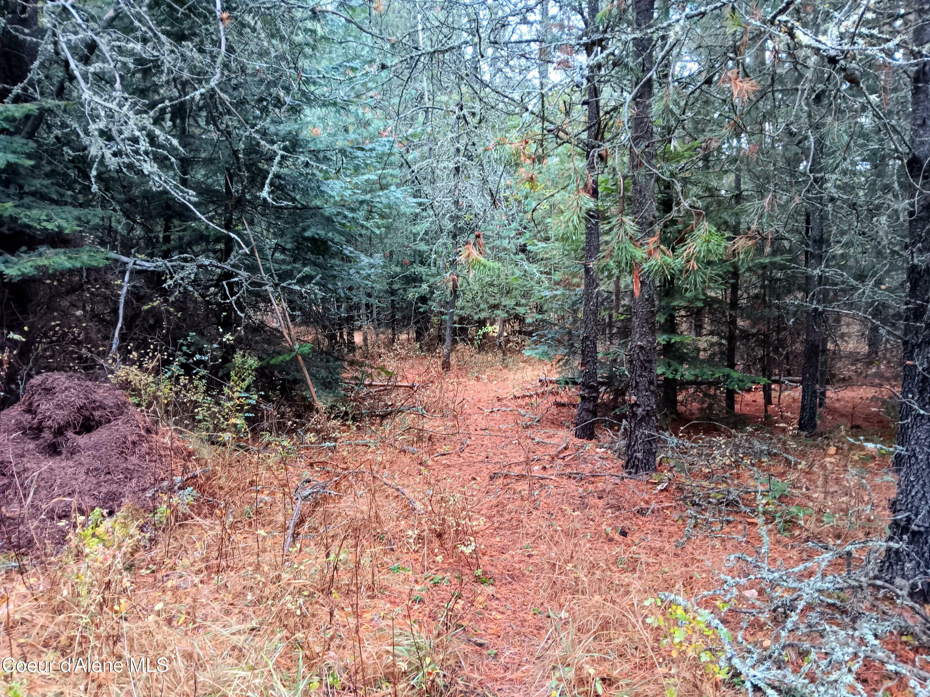 Property Photo:  Nna Green Bay Rd - Lot 1  ID 83860 