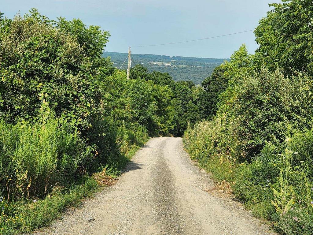 Property Photo: 0 Cherry Landing NY 14818