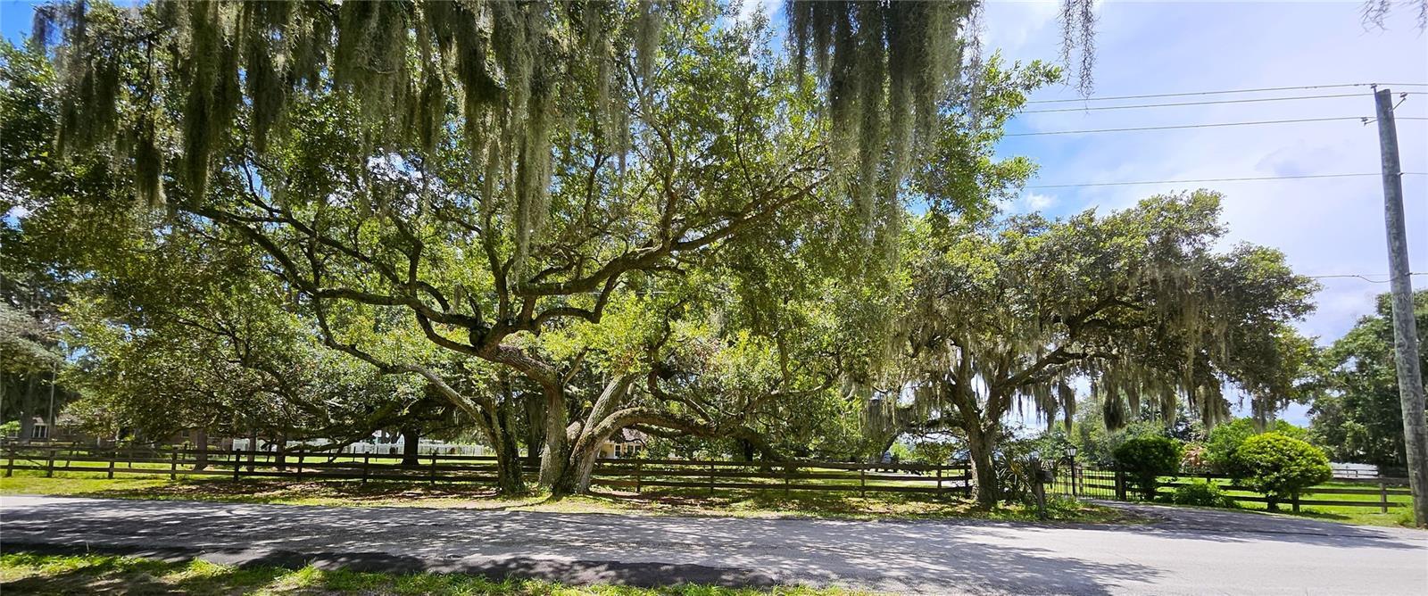 Property Photo: 18125 Dorman Road FL 33547