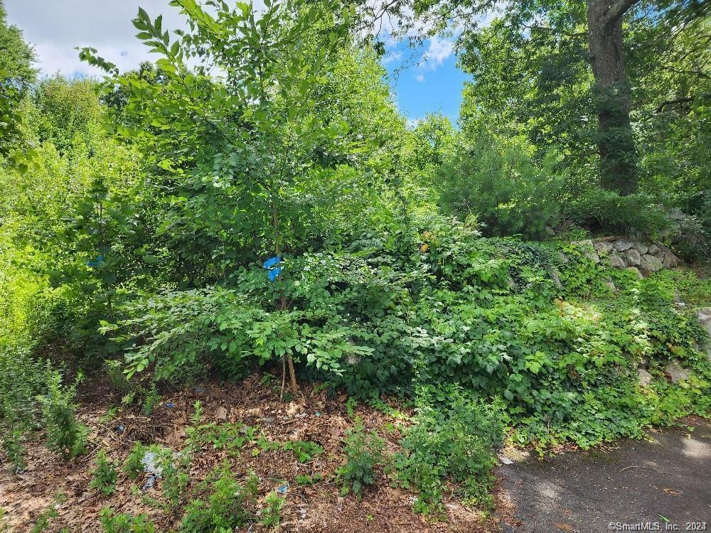 Property Photo:  103 Wadsworth Street  CT 06701 