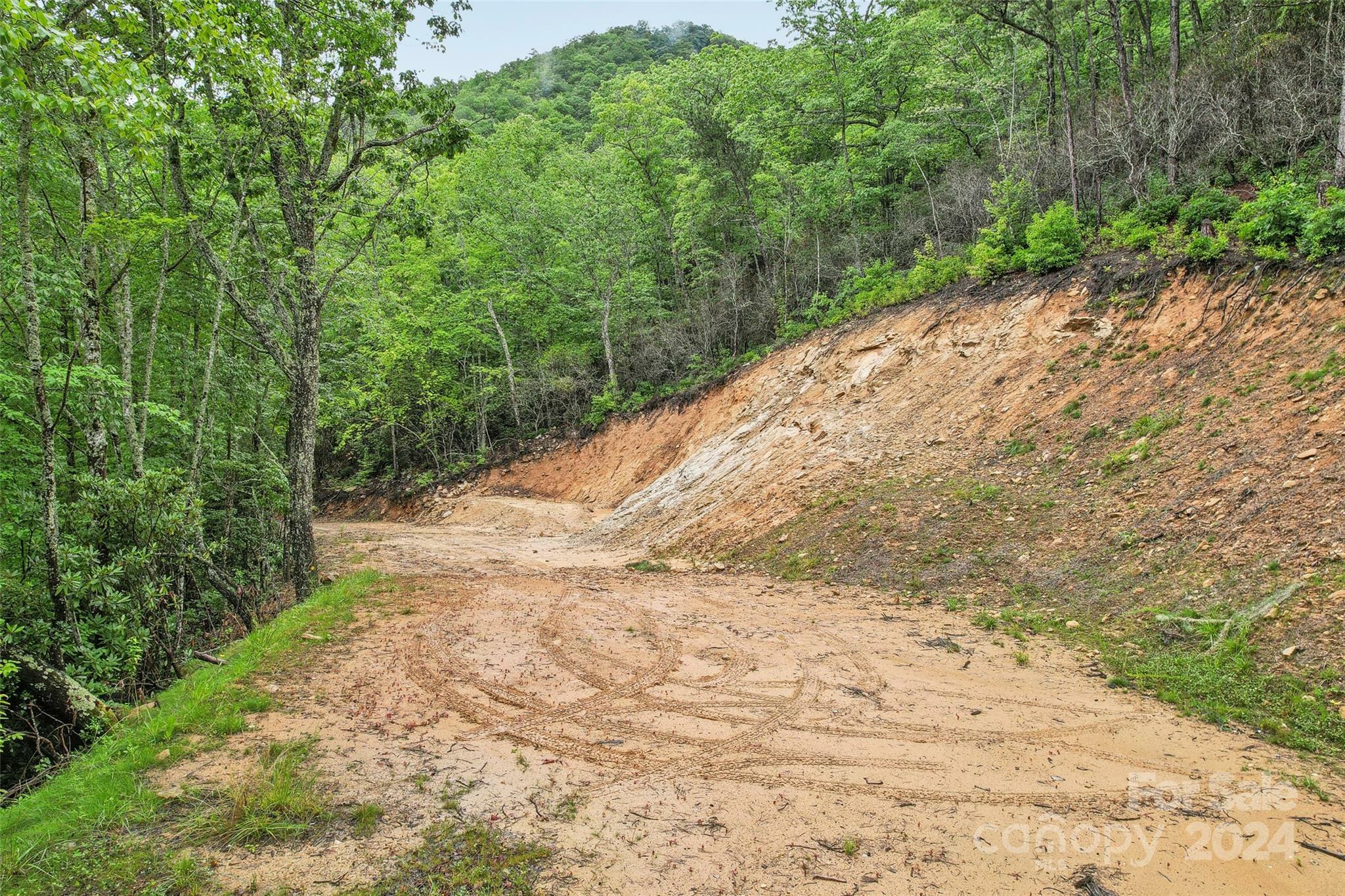 Property Photo:  000 Sheepback Mountain Road  NC 28751 