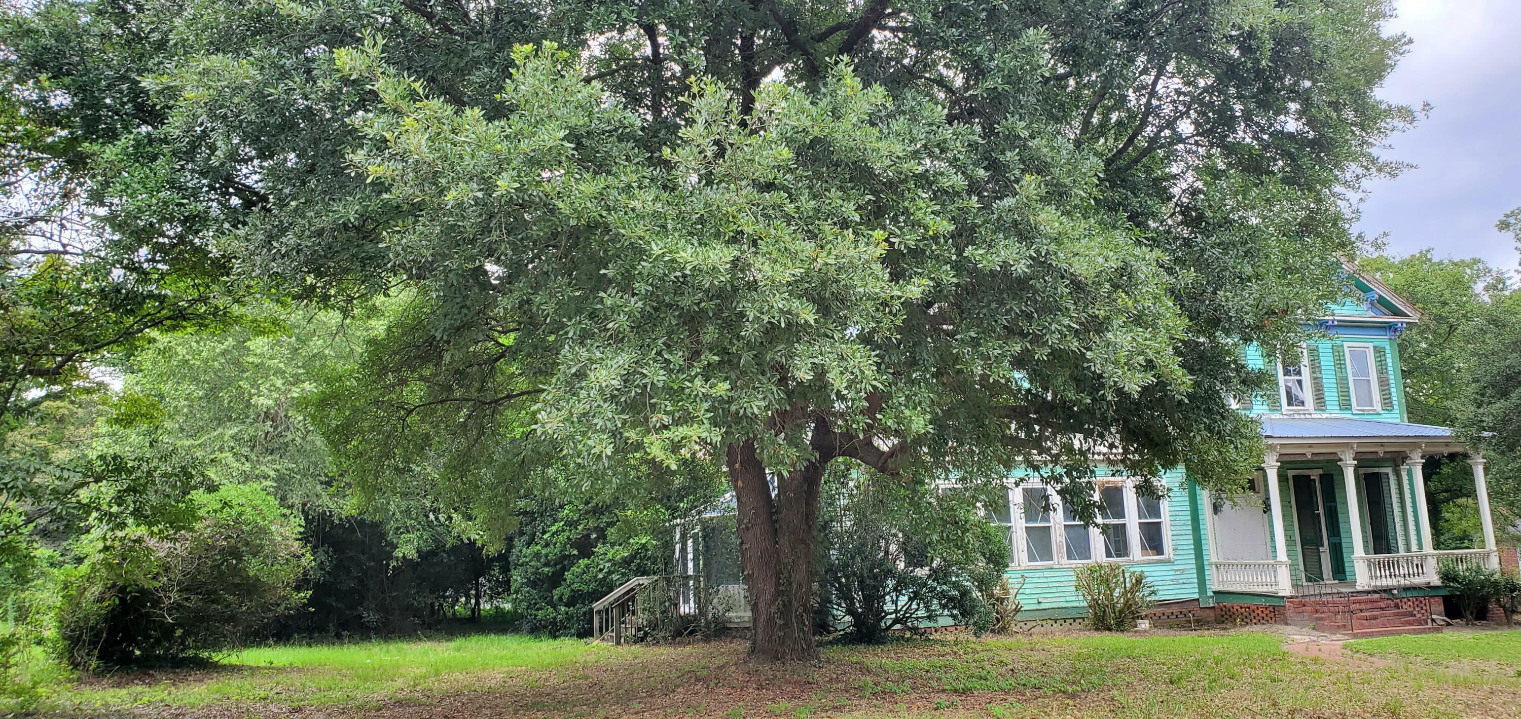 Property Photo: 307 Church Street SC 29135