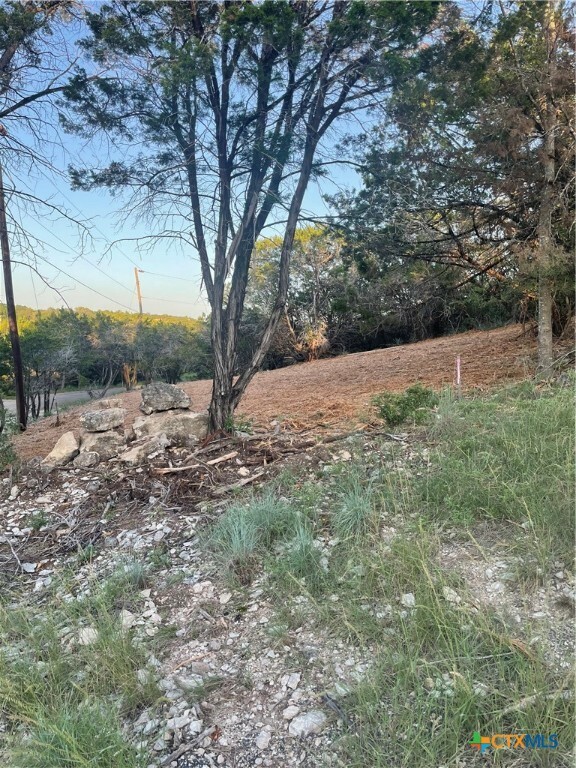 Property Photo:  4131 Sherwood Drive  TX 76513 