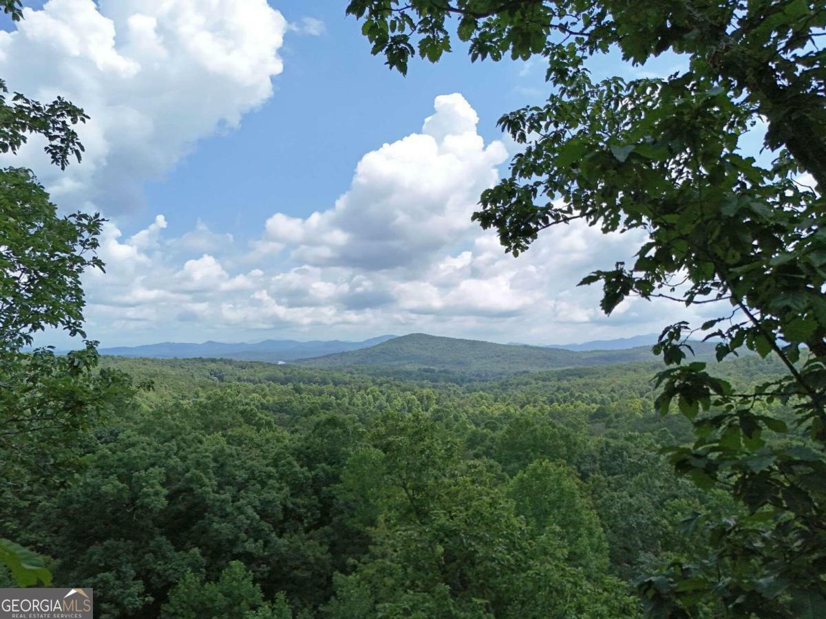 Lot 71 Laurel Brooke  Blairsville GA 30512 photo