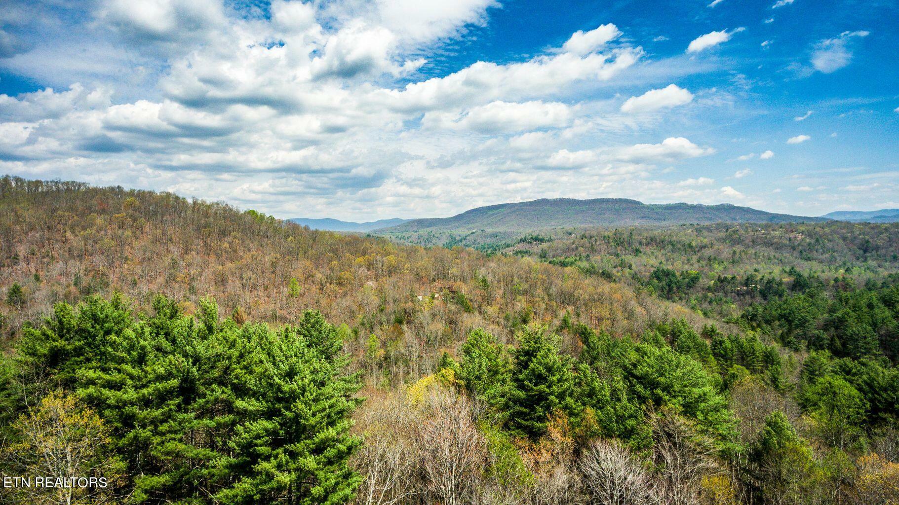 Green Ridge Trails - Lot #7  Harriman TN 37748 photo