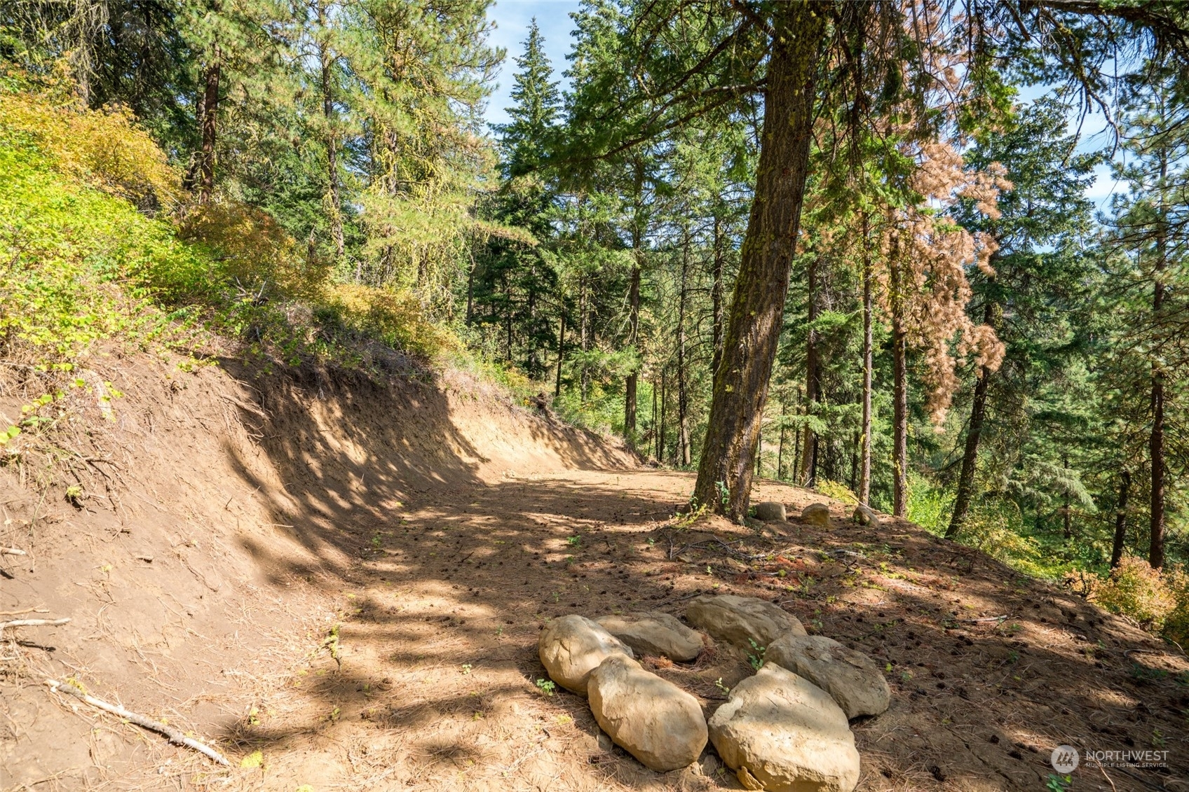 Property Photo:  0 Derby Canyon Road  WA 98847 