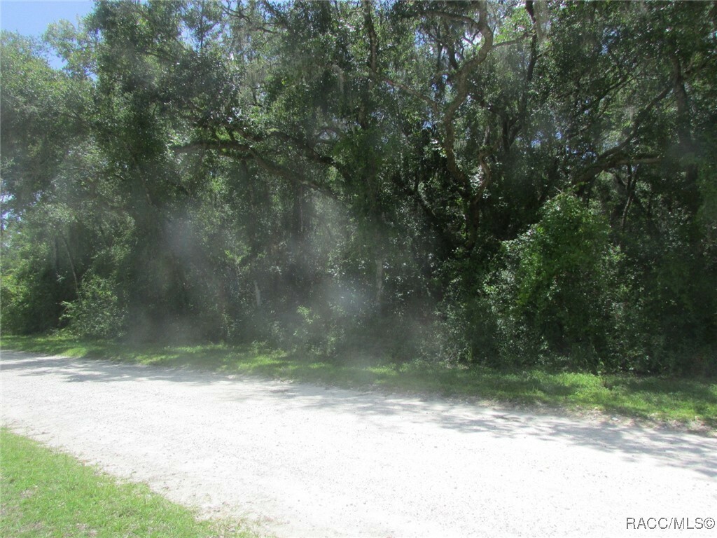 Property Photo:  2732 Suellen  FL 34450 