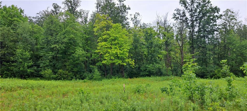 Property Photo:  0 Musky Point Drive  WI 54876 