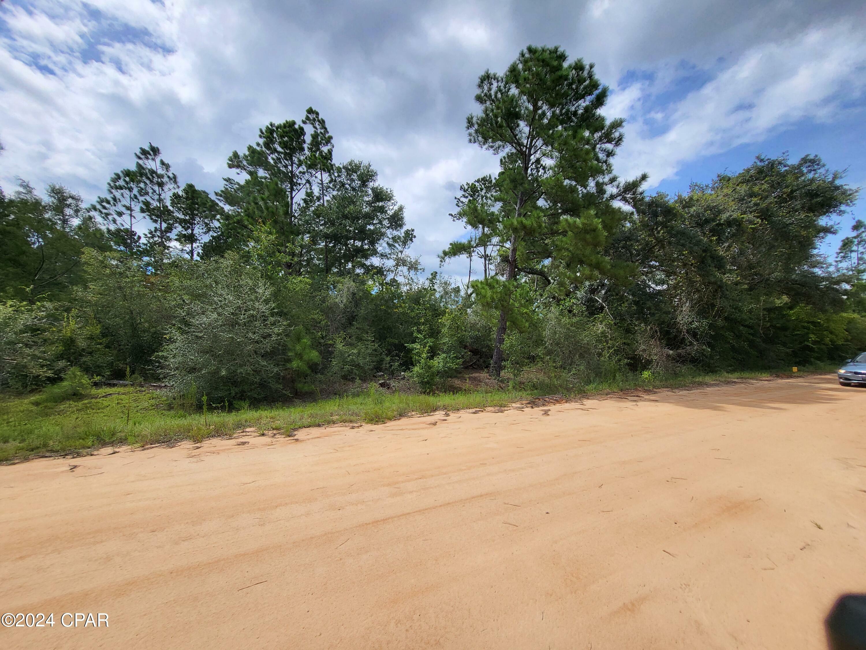 Property Photo:  00 Apalachicola Avenue  FL 32420 