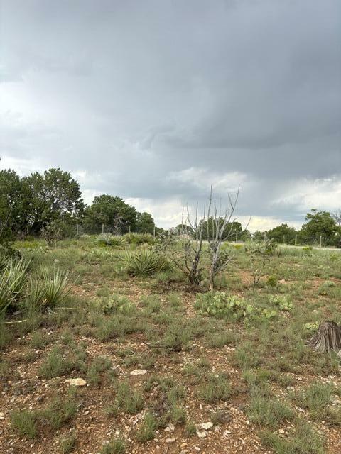 Property Photo:  40 Snowflake Trail  NM 87015 