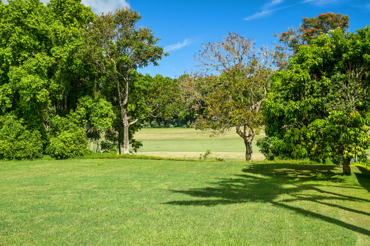 Property Photo:  4052 Aloalii Dr  HI 96722 