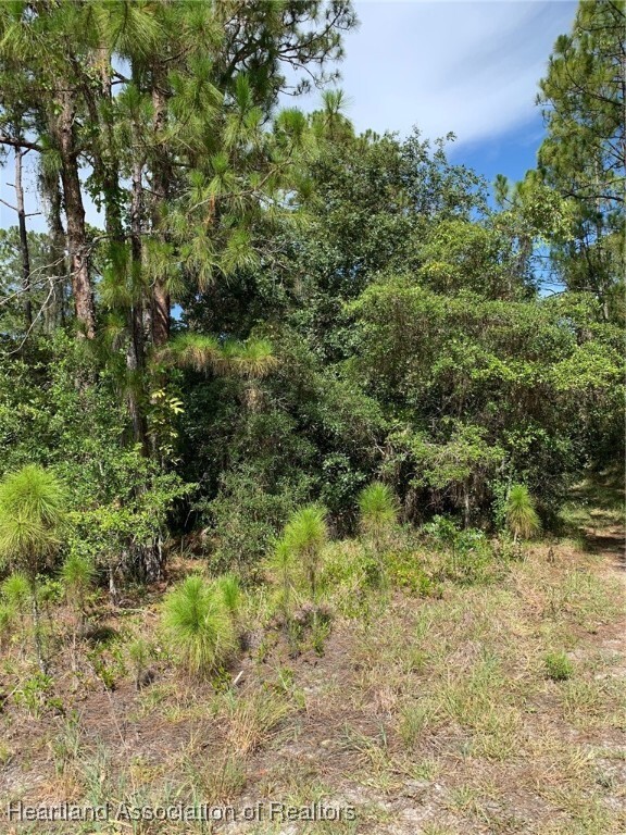 Property Photo: 379 Imagination Drive FL 33852